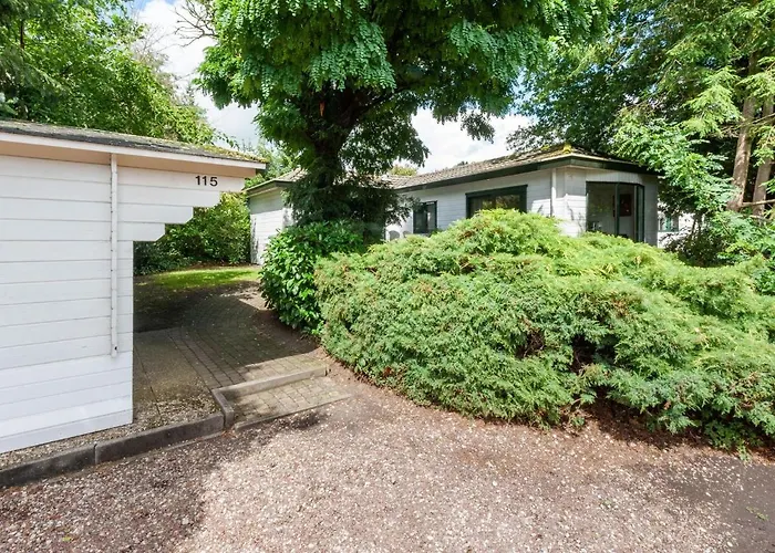 Tasteful Chalet Near Ommen For Family